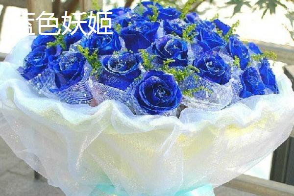 玫瑰和蔷薇有什么区别，茎部、叶片、花朵状态等方面均不同