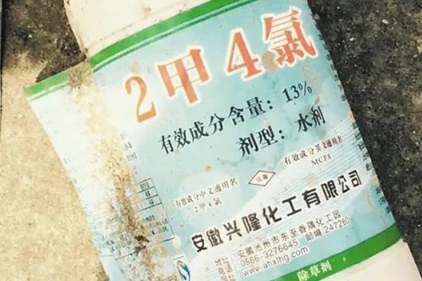 水稻打二甲四氯会不会减产，喷施不当会抑制分蘖影响产量