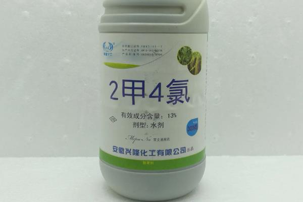 水稻打二甲四氯会不会减产，喷施不当会抑制分蘖影响产量