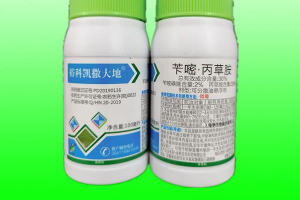 水稻打二甲四氯会不会减产，喷施不当会抑制分蘖影响产量