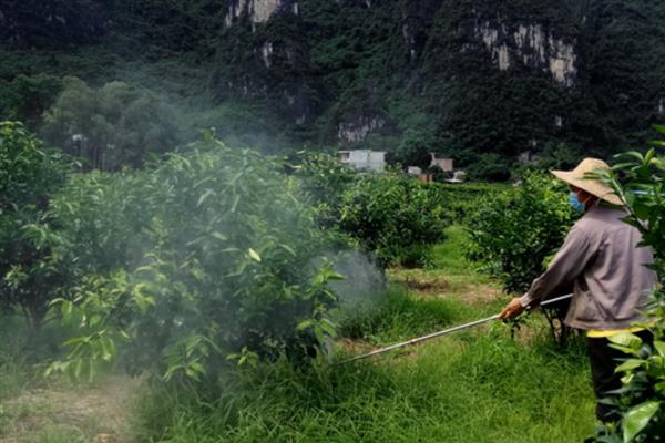 磷酸二氢钾有哪些使用注意事项，不可和碱性产品混合使