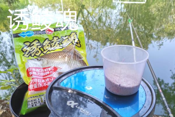 钓土鲮鱼怎么选择饵料，麸香型、腥味型、酒香型都适合使用