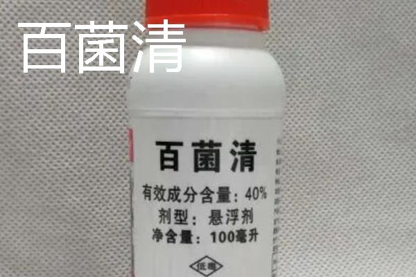 花卉的常用的杀菌剂，推荐三唑酮、百菌清等