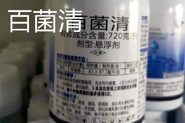花卉的常用的杀菌剂，推荐三唑酮、百菌清等