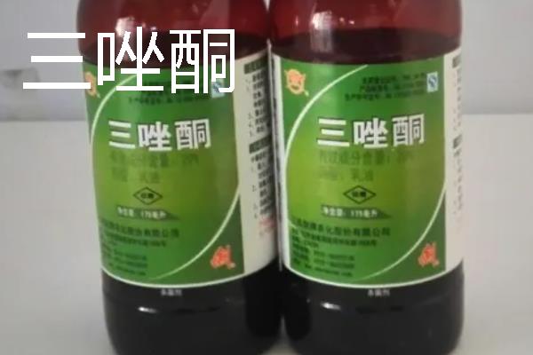 花卉的常用的杀菌剂，推荐三唑酮、百菌清等