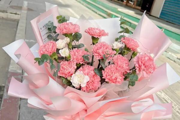 11支粉色康乃馨有什么含义，寓意一心一意、年轻美丽等