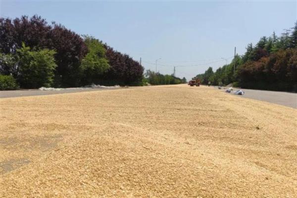小麦每立方米的重量，大概为750公斤左右