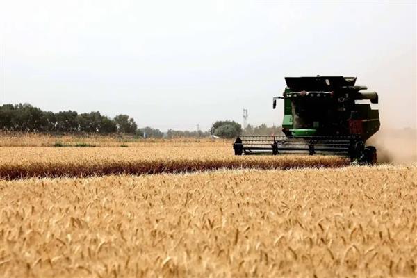 小麦每立方米的重量，大概为750公斤左右