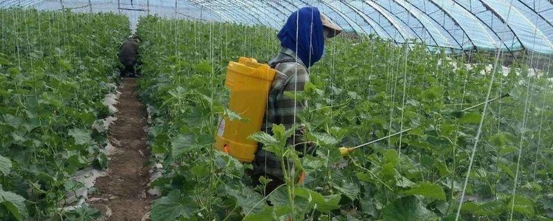 农药在蔬菜地施用的注意事项，禁止使用剧毒和高残留农药