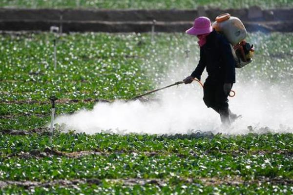 农药在蔬菜地施用的注意事项，禁止使用剧毒和高残留农药