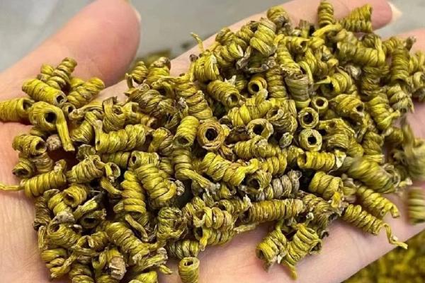 霍山石斛和铁皮石斛的区别是什么，分布和外形特征均不同
