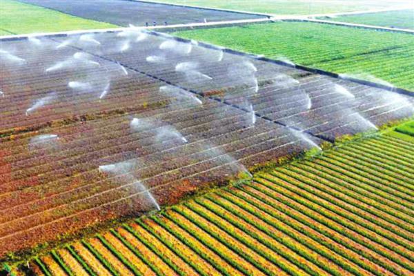 农业生产能力的载体和基础，包括作物种子、农业耕地等农业生产要素