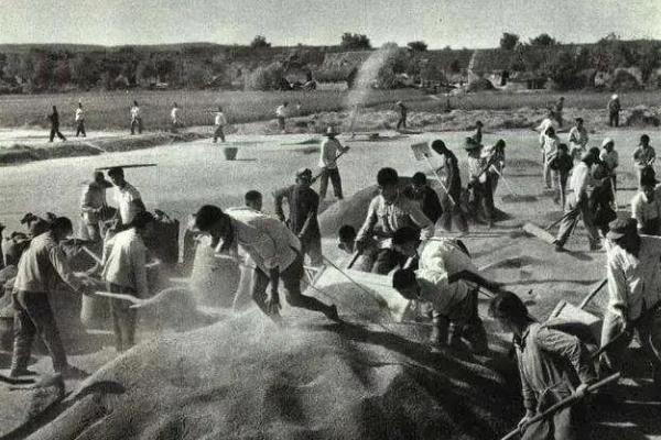 农业合作化的运动时间，第一阶段是1949年至1953年