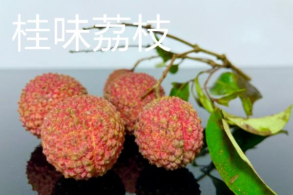 有什么好吃的荔枝，桂味荔枝、妃子笑等品种具有不错的口感