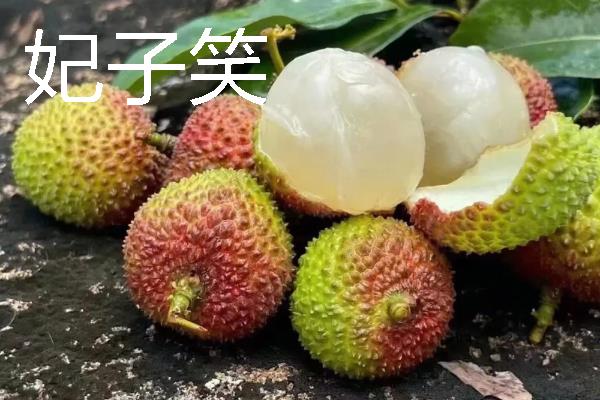 有什么好吃的荔枝，桂味荔枝、妃子笑等品种具有不错的口感