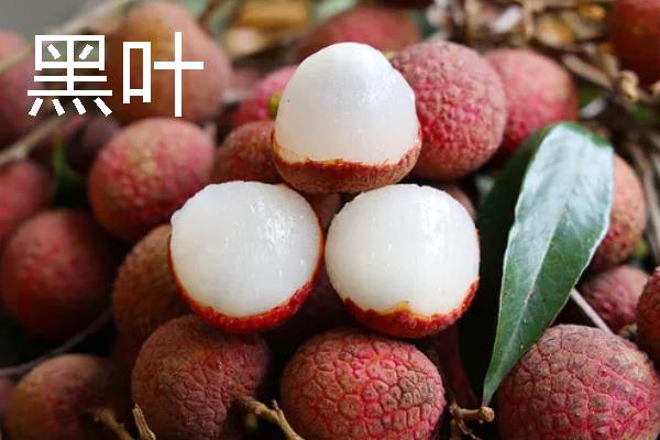 有什么好吃的荔枝，桂味荔枝、妃子笑等品种具有不错的口感