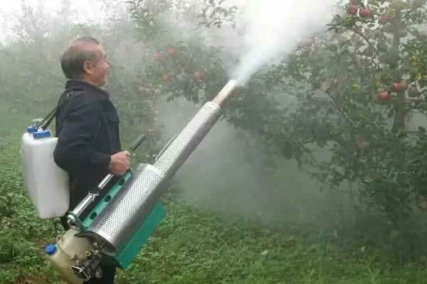 苹果树有黄叶的原因，可能是缺少铁元素所致