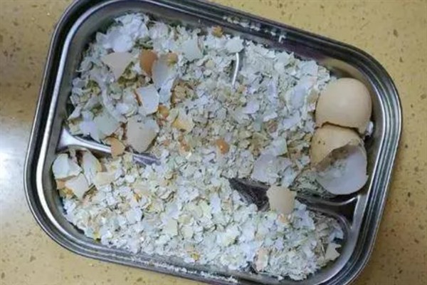 坏鸡蛋能不能给花做肥料，坏鸡蛋可以给花做肥料
