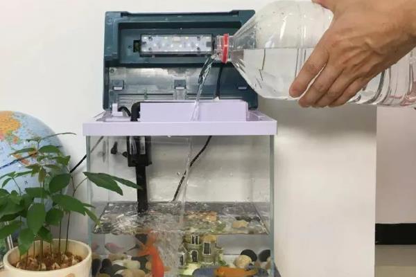 金鱼失鳔的原因及治疗方法，可能是水质太差所致