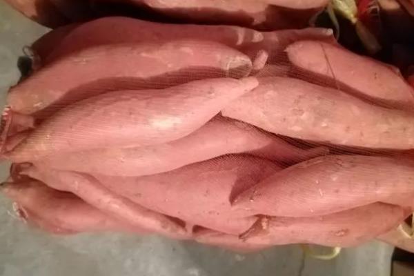 烟薯25的亩产量，约为3000-4000kg一亩