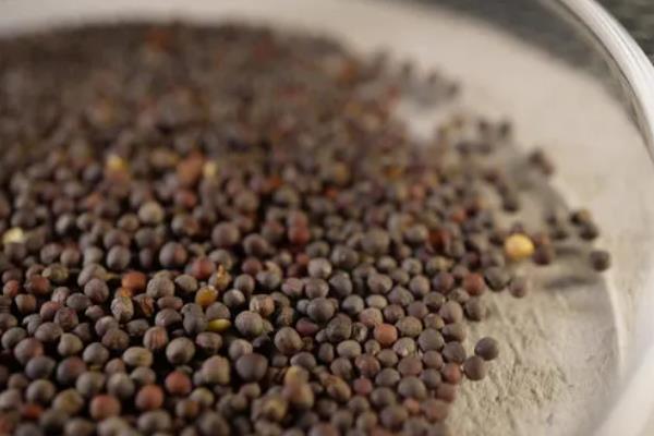 温室瓜菜防治病虫害的原则,根据病虫害的种类使用对应药物