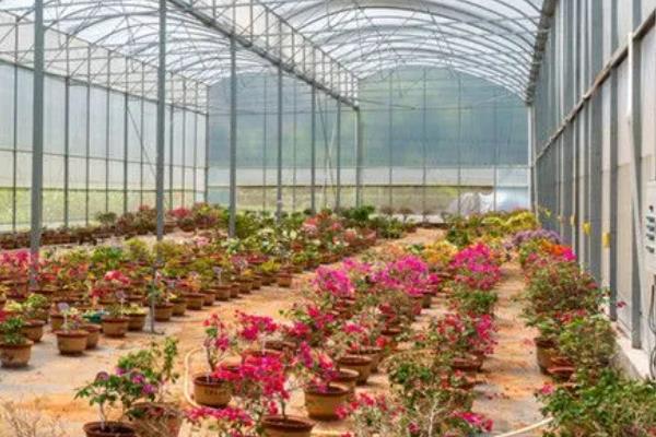 温室瓜菜防治病虫害的原则,根据病虫害的种类使用对应药物