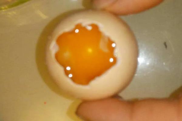 鸡卵的结构，由蛋壳、卵壳膜、卵白等部位组成