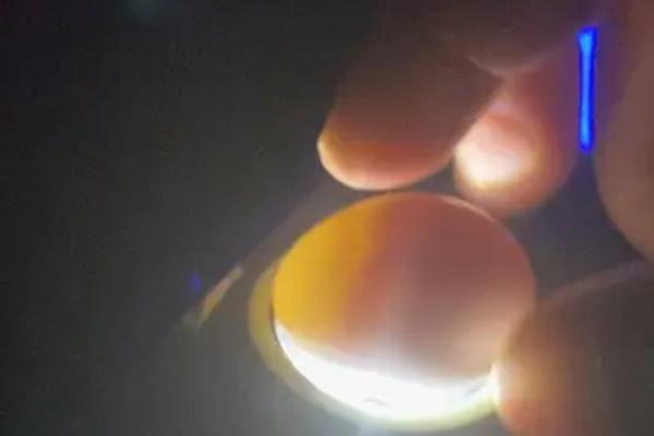 鸡卵的结构，由蛋壳、卵壳膜、卵白等部位组成