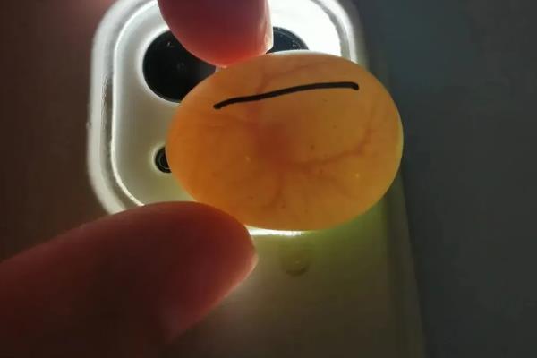 鸡卵的结构，由蛋壳、卵壳膜、卵白等部位组成