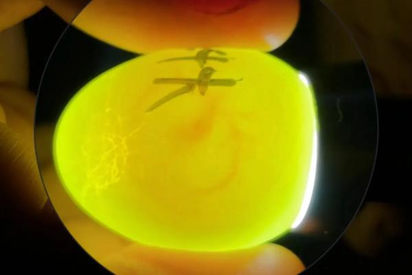 鸡卵的结构，由蛋壳、卵壳膜、卵白等部位组成