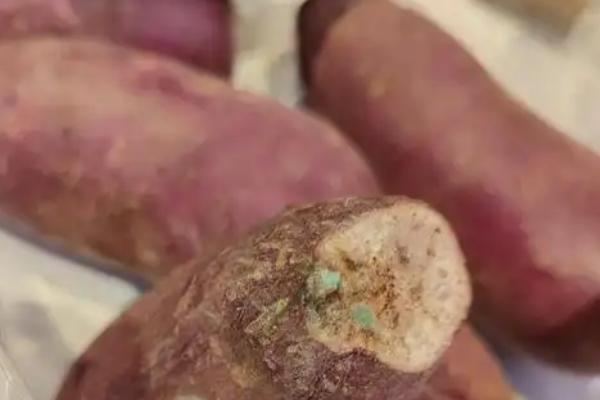 紫薯能不能放冰箱，紫薯可以放冰箱