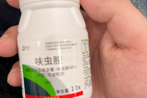 兔虱病如何防治，需及时将病兔单独隔离开