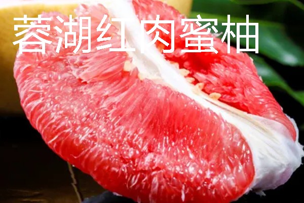 福建龙岩市的特产，有蓉湖红肉蜜柚、下都沙田柚等