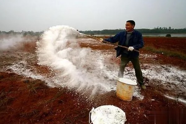 怎么改良土壤，采取增施有机肥、实行水旱轮作等措施可以改善酸性土质
