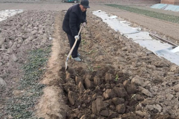 怎么改良土壤，采取增施有机肥、实行水旱轮作等措施可以改善酸性土质
