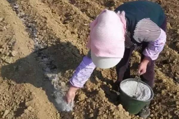 怎么改良土壤，采取增施有机肥、实行水旱轮作等措施可以改善酸性土质
