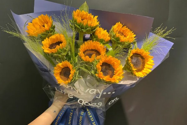 向日葵有何花语，代表忠贞不二、阳光开朗等含义
