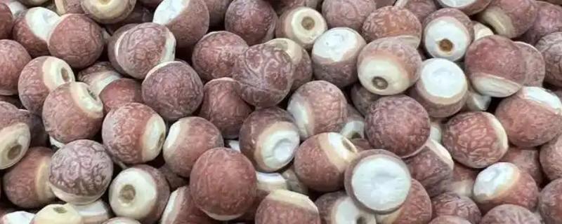 芡实与哪些食物相克，芡实没有相克的食材
