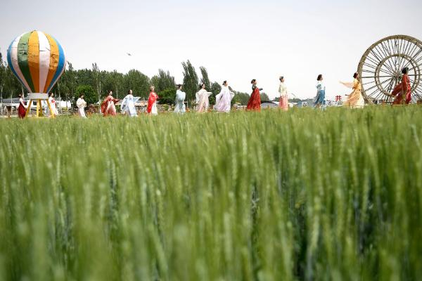 共享农场的运营模式是什么，常见的是旅附农型、农辅旅型等