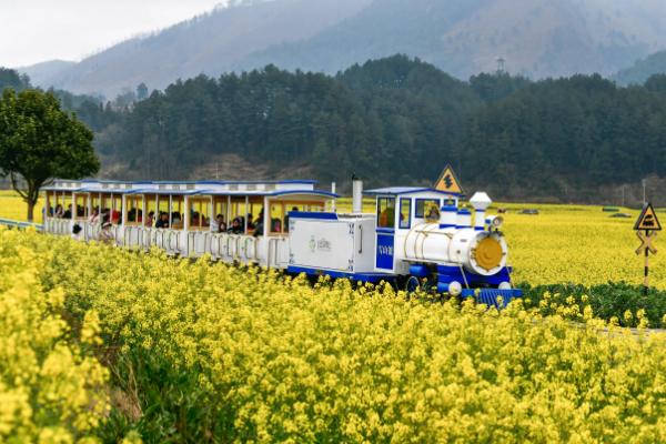 共享农场的运营模式是什么，常见的是旅附农型、农辅旅型等