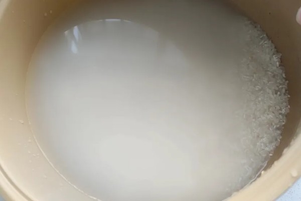 淘米水如何自制多肉肥，装瓶量控制在总容量的70%