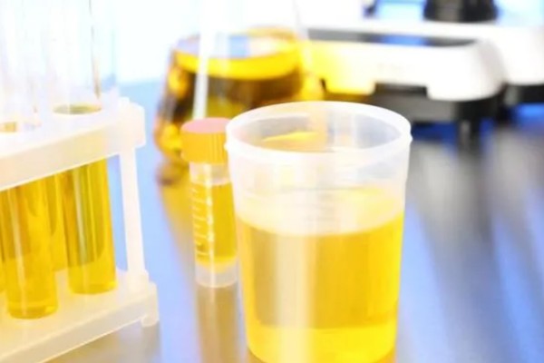淘米水如何自制多肉肥，装瓶量控制在总容量的70%