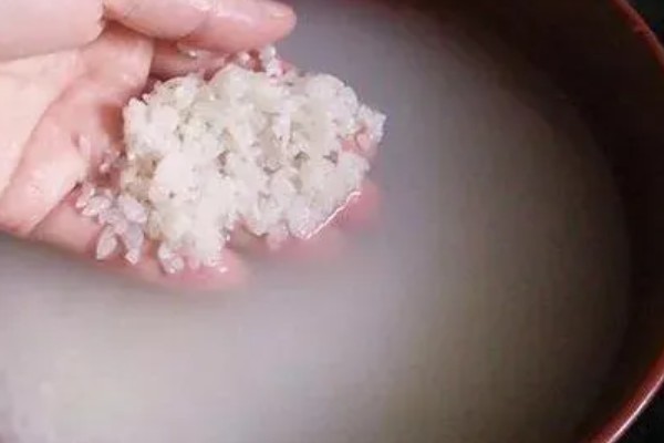 淘米水如何自制多肉肥，装瓶量控制在总容量的70%