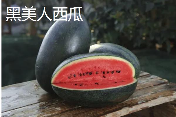 2k西瓜是什么意思，是一种早中熟西瓜品种