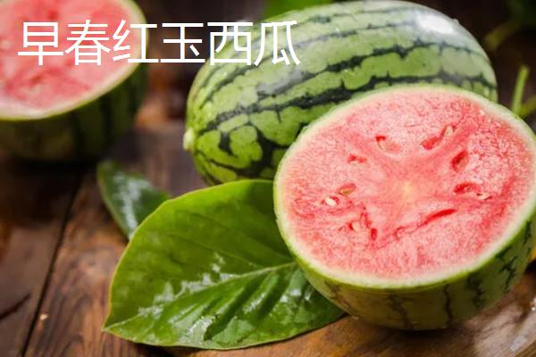 2k西瓜是什么意思，是一种早中熟西瓜品种