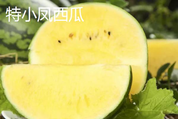 2k西瓜是什么意思，是一种早中熟西瓜品种