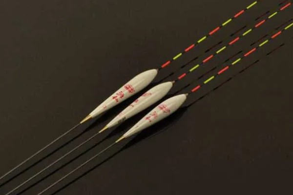 五月鲤鱼会开口吗，五月鲤鱼开口状态好