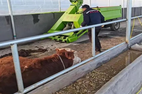 牛不吃食没精神的原因，可能是牛舍卫生差、低温等因素所致