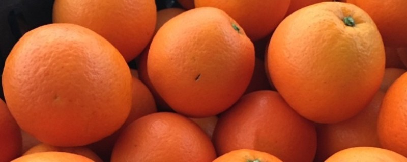 橙子可以放多久,在冰箱内可存放2个月左右