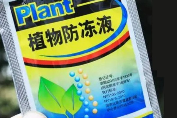 植物防冻剂的使用方法，可采用灌根或者叶片喷施的方式